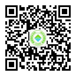 关注我们\进入手机站