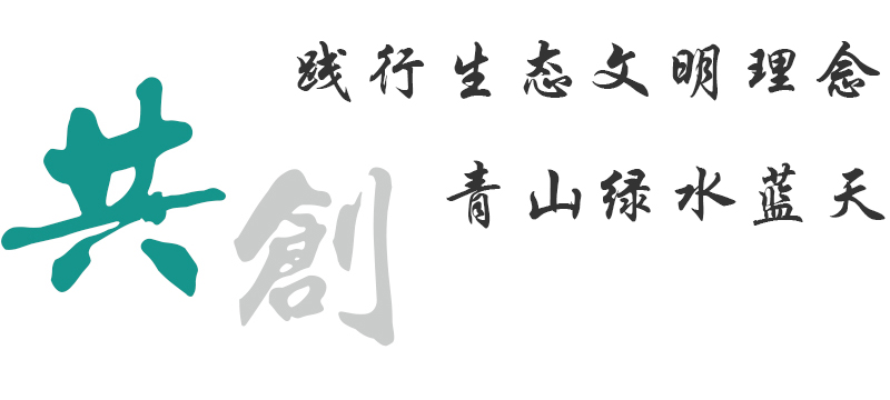 使命愿景
