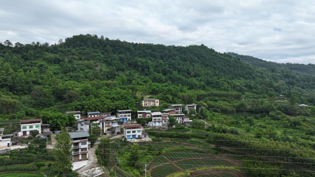 “生活污水变废为宝！” 万州乡村“焕新颜”（人民网）